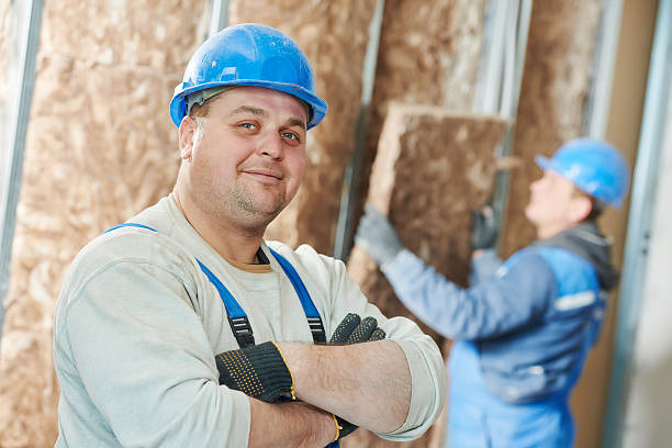 Best Insulation Replacement Services  in Hometown, PA